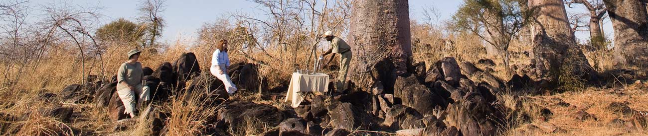 Chobe Under Canvas